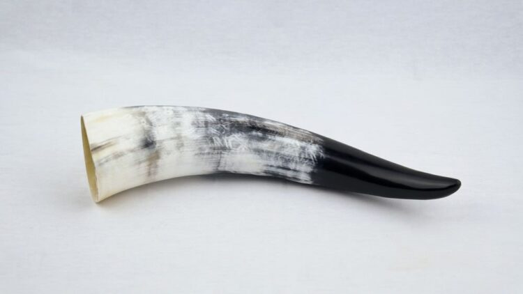 Genuine Natural Horn Drinking Horn