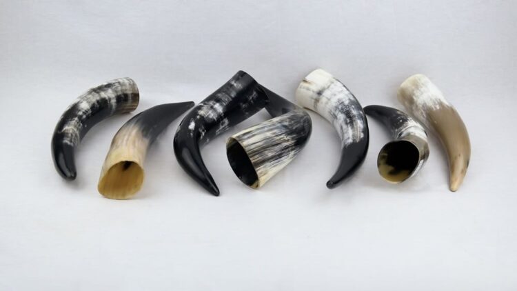Genuine Natural Horn Drinking Horn - Image 2