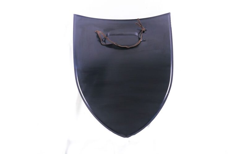 Lion Rampant Shield - Image 2