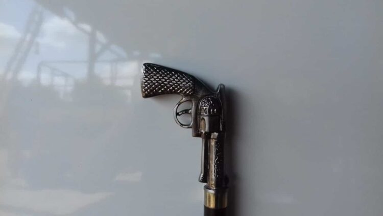 Gun Walking Stick