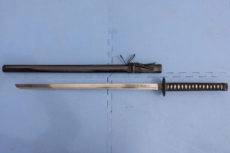 “Samurai Warrior” Straight Katana - Image 2